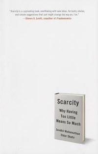 Scarcity: Why Having Too Little Means So Much